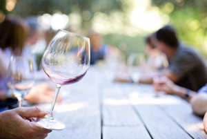 Visit 3 Family Wineries with Lunch and Transfer Included