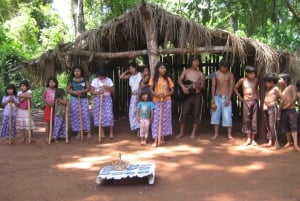 Visite a aldeia guarani no Forte Mborore com um brunch