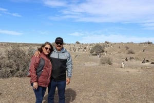 Wandelen met de pinguïns: Punta Tombo voor cruisepassagiers