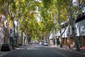 Une visite à pied de l'histoire fascinante du vin de Mendoza