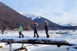 Vit dag i Ushuaia: Snöskoter, culipatin, vandring och mer