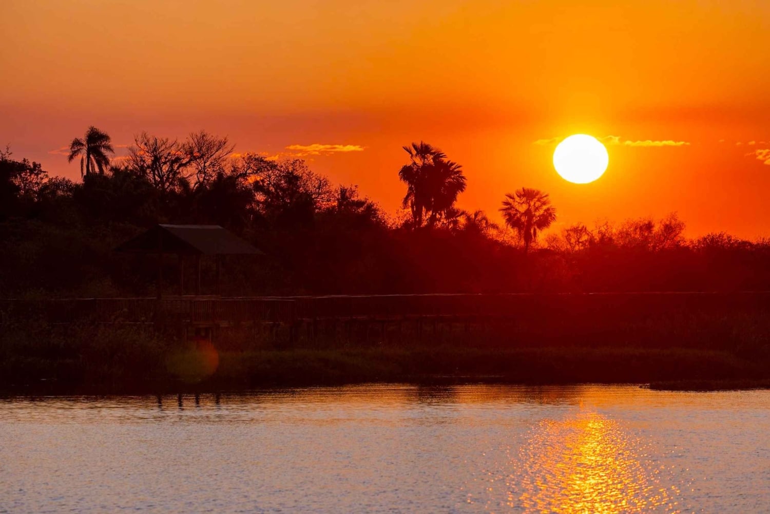 Dyre- og natursafari i hjertet af Iberá
