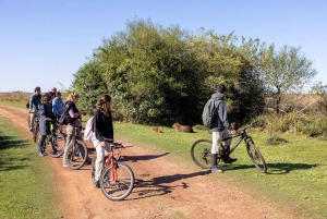 Dyre- og natursafari i hjertet af Iberá