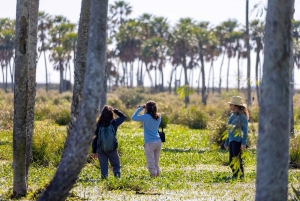 Dyre- og natursafari i hjertet af Iberá