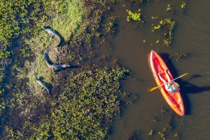 Dyre- og natursafari i hjertet af Iberá