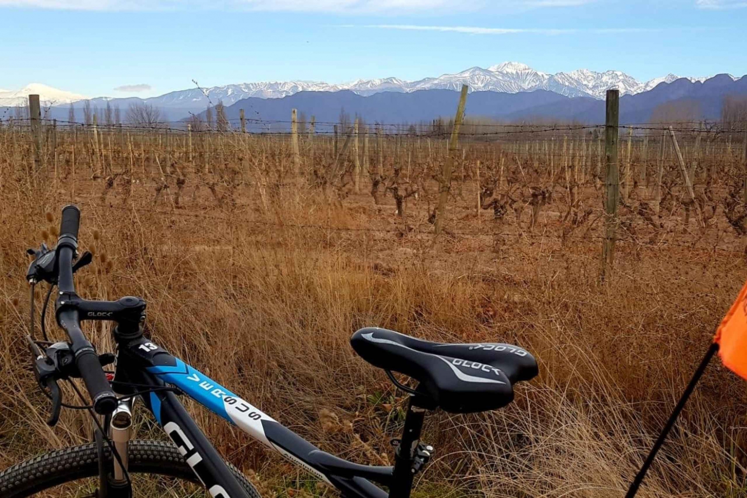 Wine and Chocolate Bike Tour: ride, taste, lunch, vineyards.