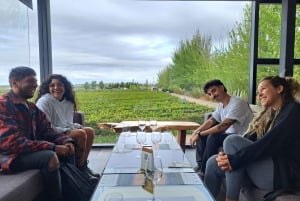 Tour in bicicletta del vino e del cioccolato: pedalata, degustazione, pranzo, vigneti.