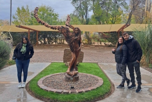 Tour in bicicletta del vino e del cioccolato: pedalata, degustazione, pranzo, vigneti.