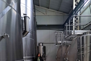 Tour in bicicletta del vino e del cioccolato: pedalata, degustazione, pranzo, vigneti.