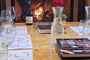 Tour in bicicletta del vino e del cioccolato: pedalata, degustazione, pranzo, vigneti.