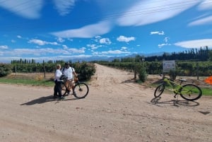 Tour in bicicletta del vino e del cioccolato: pedalata, degustazione, pranzo, vigneti.