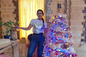 Tour in bicicletta del vino e del cioccolato: pedalata, degustazione, pranzo, vigneti.