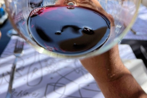 Wine, empanadas, and olive oil tours in Mendoza