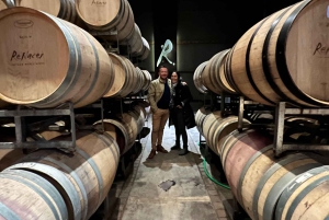 Wine, empanadas, and olive oil tours in Mendoza