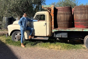 Wine, empanadas, and olive oil tours in Mendoza