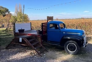 Wine, empanadas, and olive oil tours in Mendoza