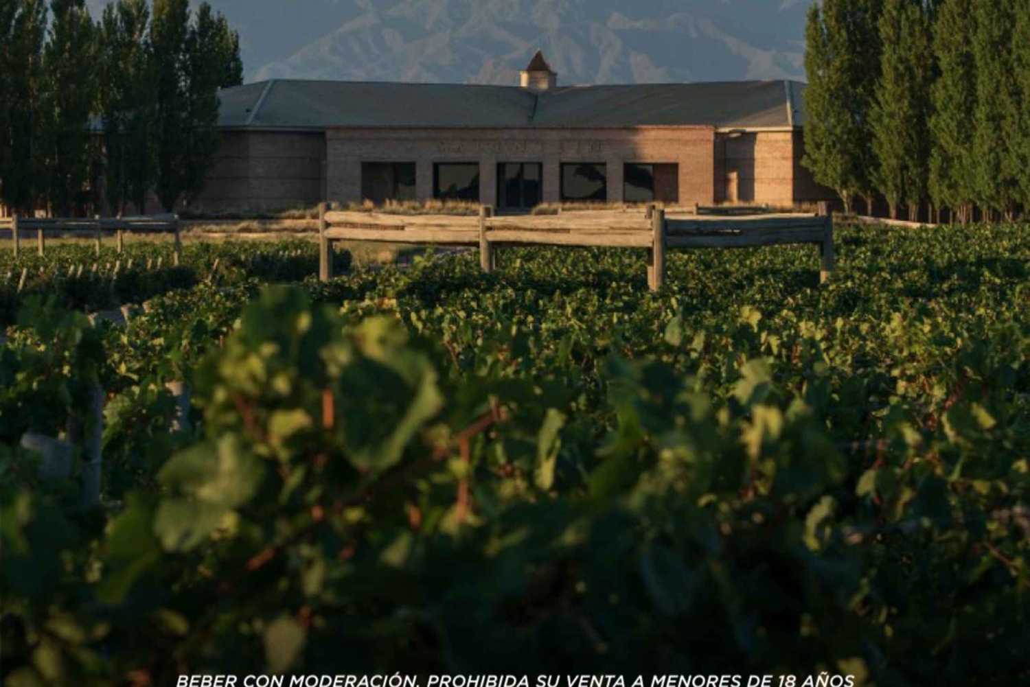 Wein-Ikonen: Triff Salentein im Herzen des Uco Valley