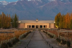 Iconos del vino: Conoce Salentein en el corazón del Valle de Uco