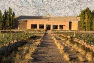 Wine Icons: Meet Salentein at the heart of Uco Valley