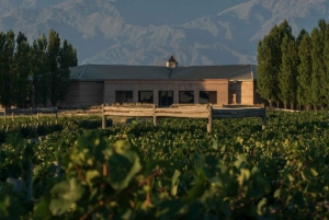 Les icônes du vin : Rencontrez le Salentein au cœur de la vallée d'Uco