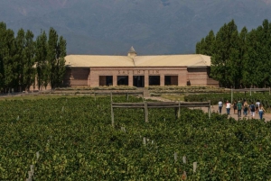 Les icônes du vin : Rencontrez le Salentein au cœur de la vallée d'Uco