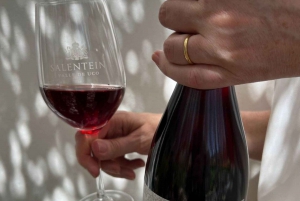 Wine Icons: Meet Salentein at the heart of Uco Valley