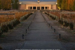 Wein-Ikonen: Triff Salentein im Herzen des Uco Valley