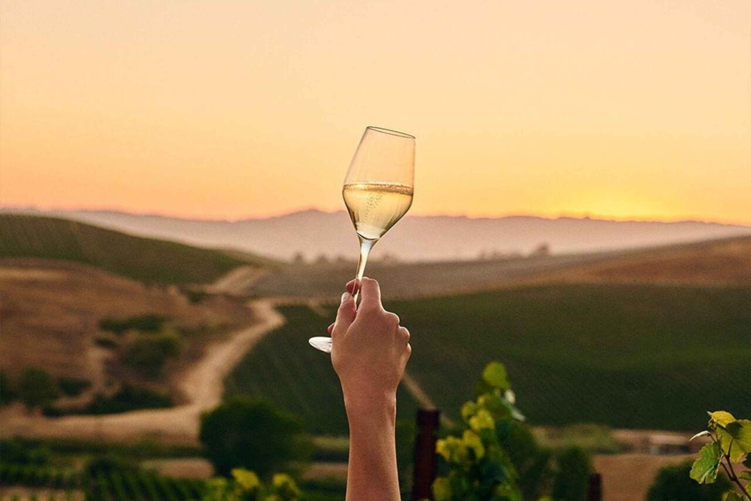 Ikony wina: Poznaj musujący świat Chandon