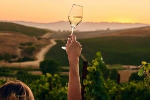 Icone del vino: Incontra il mondo frizzante di Chandon