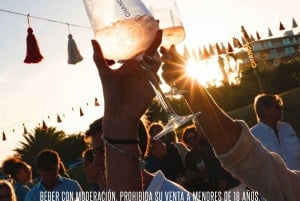 Ícones do vinho: Conheça o mundo espumante da Chandon