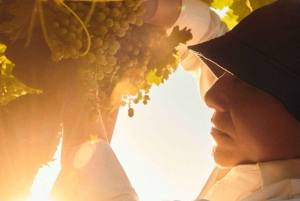 Ikony wina: Poznaj musujący świat Chandon