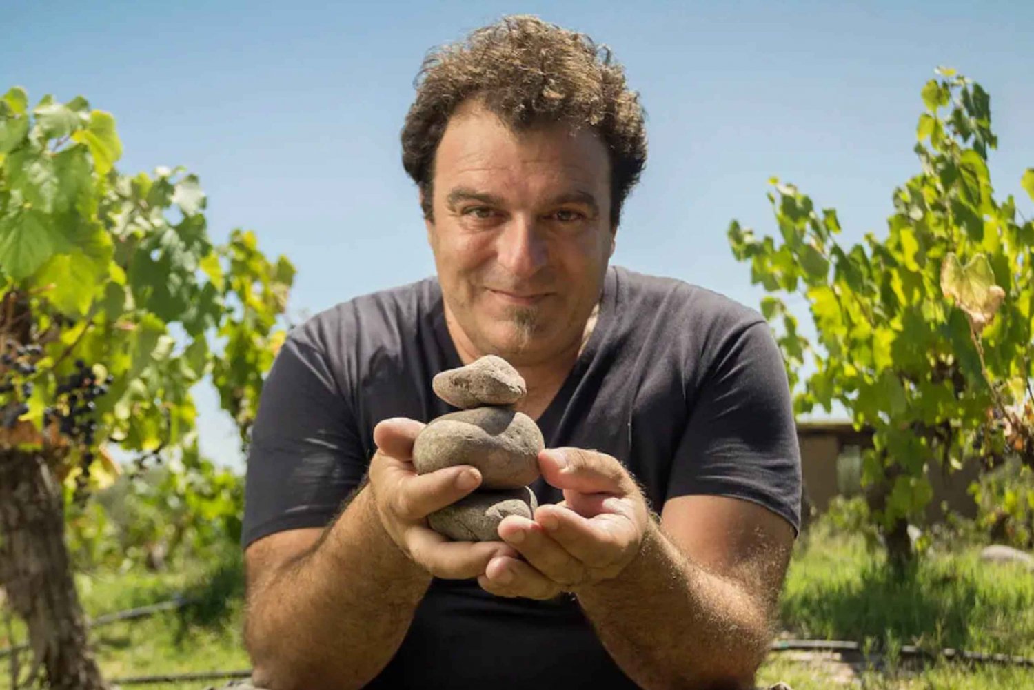 Idoli del vino: Incontra El Enemigo di Alejandro Vigil