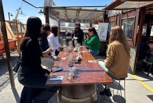 Vin- och musikupplevelse av D.V. Catena med en bräda med Cold Cuts