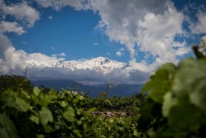 Choisissez votre aventure vinicole dans la vallée d'Uco