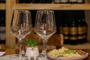 Degustazione di vini nel centro di Buenos Aires, Ego Experience