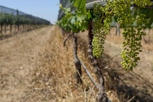 Ruta del Vino Córdoba