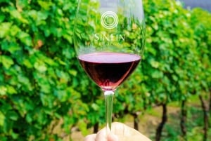 Tour clássico de vinhos com orçamento acessível. Almoço. Motorista particular