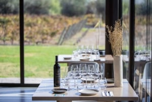 Mendoza: Tour privato del vino, degustazione e pranzo con abbinamenti