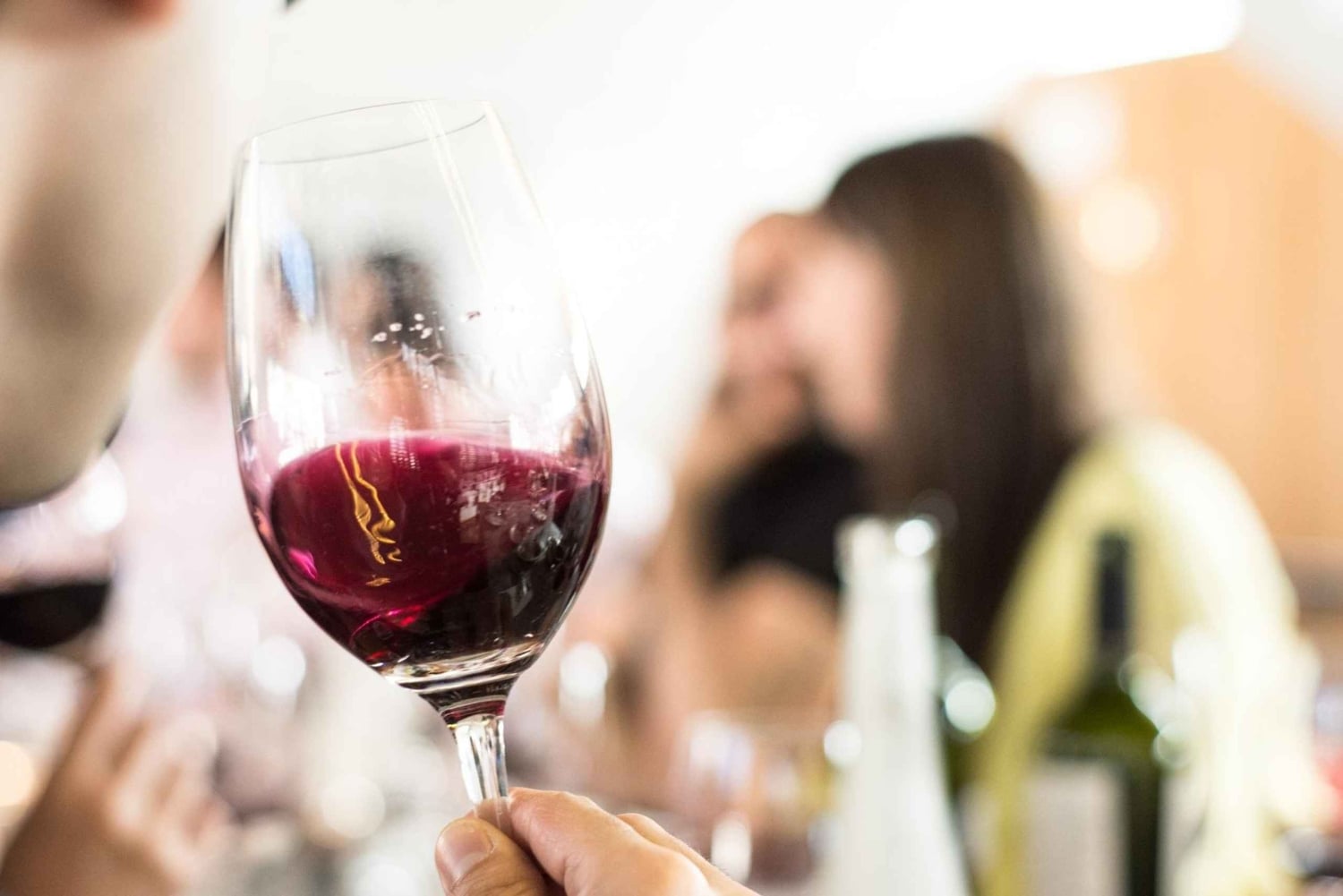 Vindag i Valle de Uco