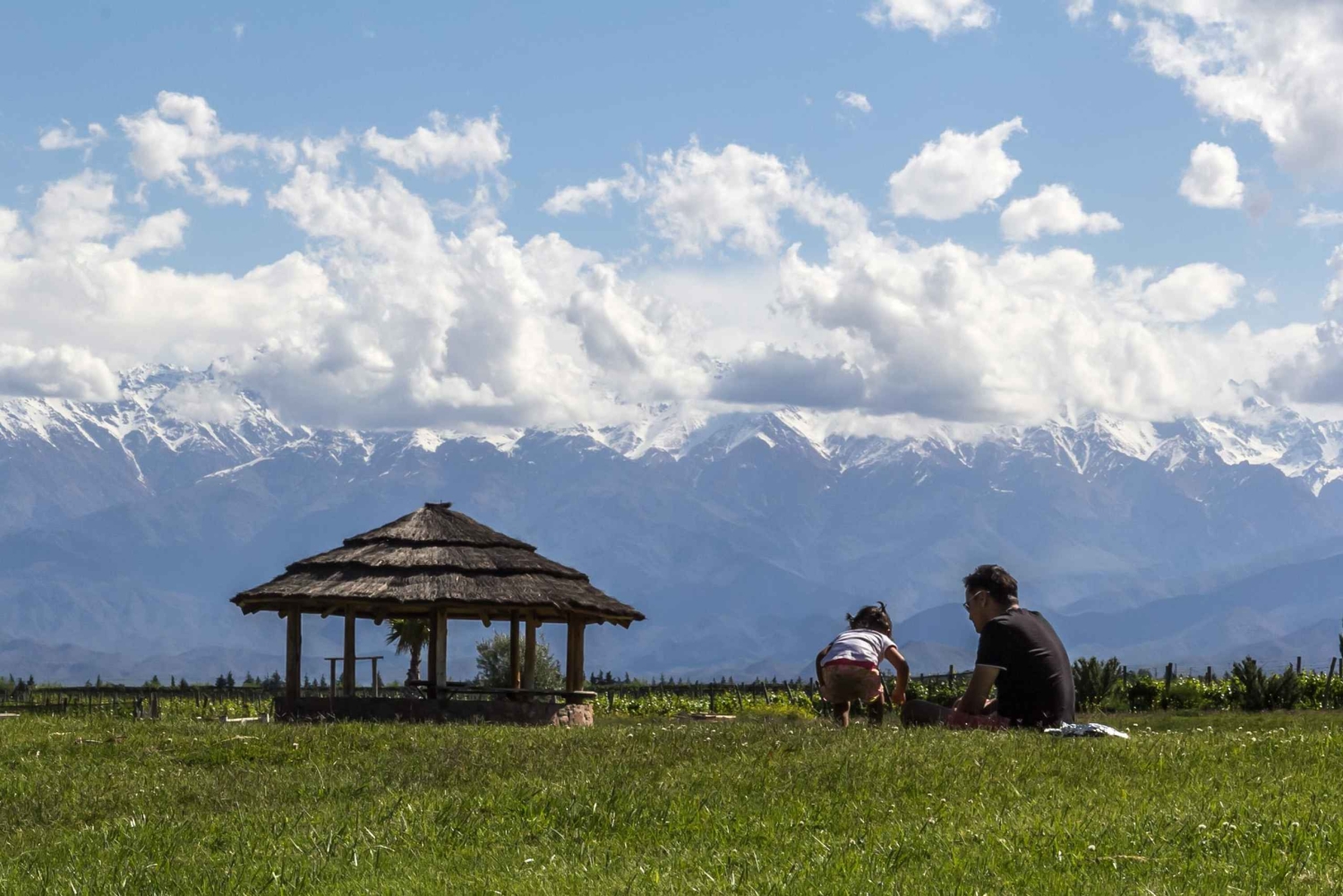 Vindag i Valle de Uco
