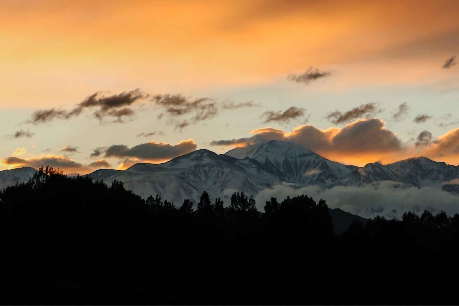 Vindag i Valle de Uco