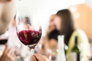 Vindag i Valle de Uco