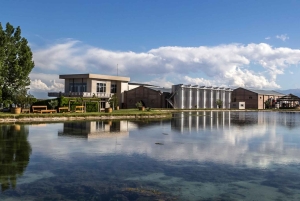 Vindag i Valle de Uco