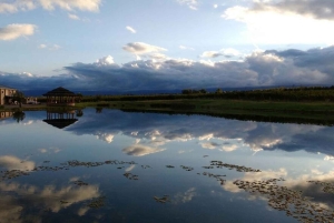 Vindag i Valle de Uco