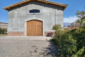 Vindag i Valle de Uco