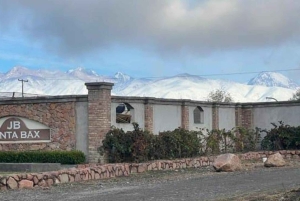 Vindag i Valle de Uco