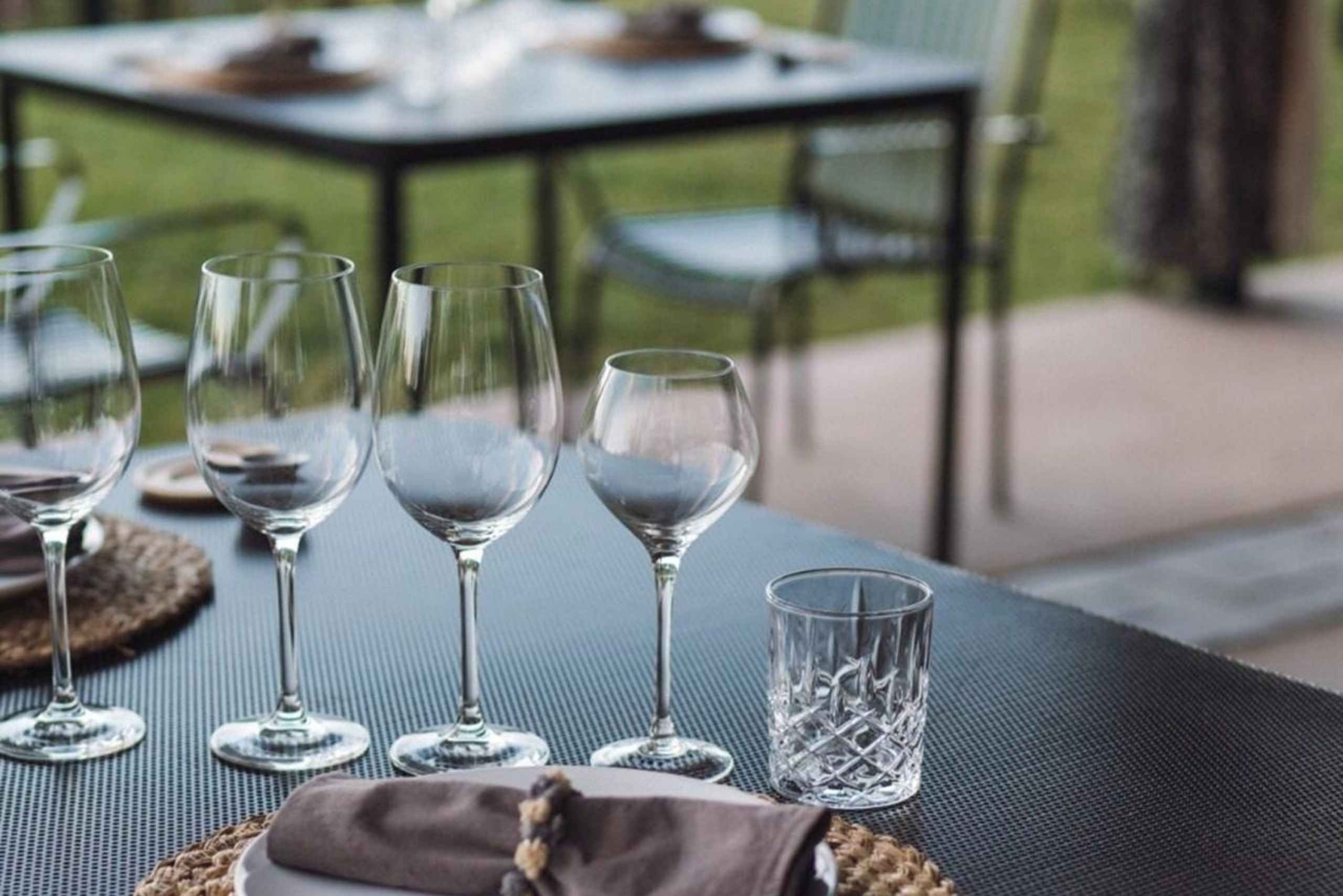 Tour de Bodegas en Lujan de Cuyo: Chandon, Bonfanti, Kuro