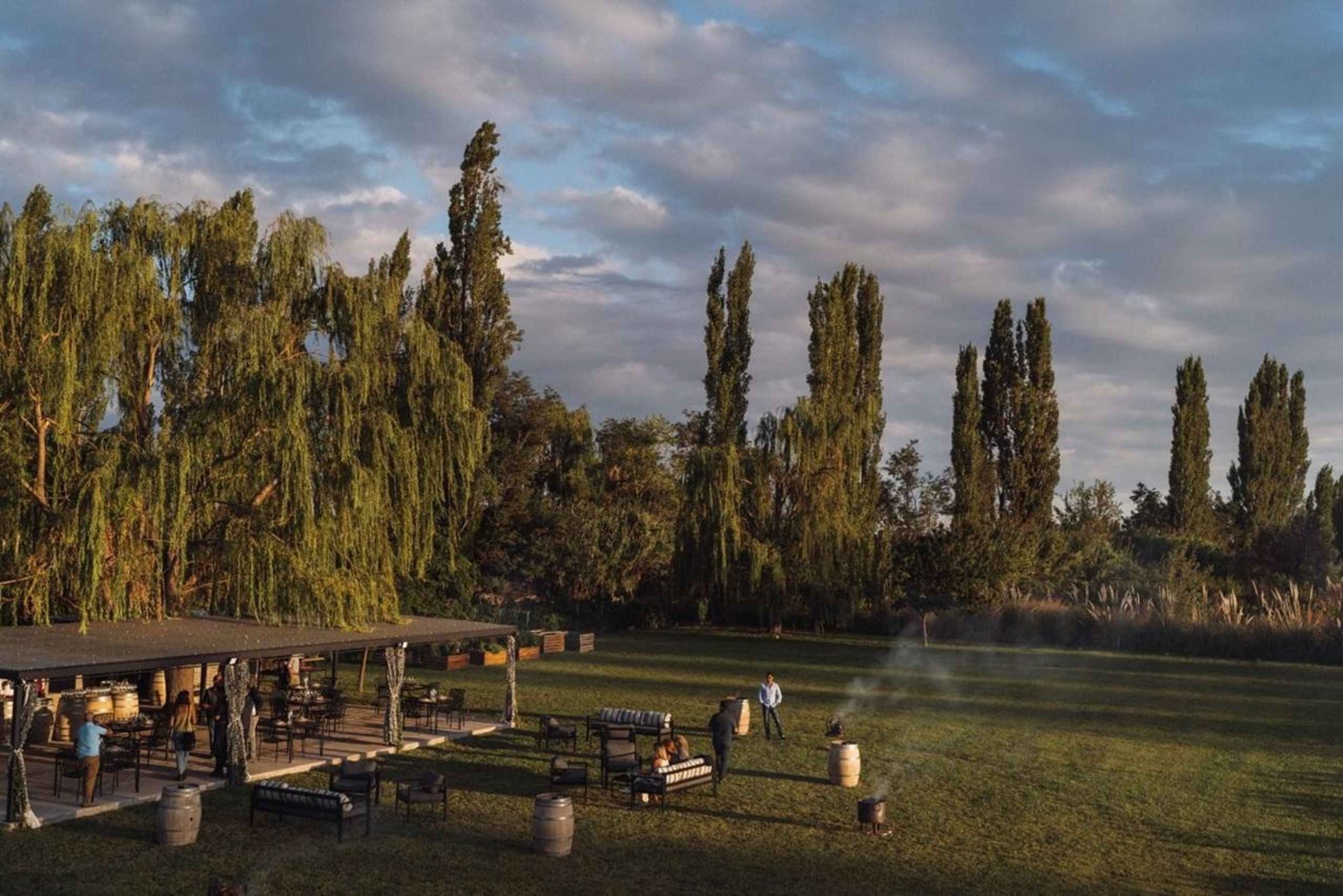 Tour de Bodegas en Lujan de Cuyo: Chandon, Bonfanti, Kuro