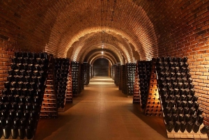 Tour de Bodegas en Lujan de Cuyo: Chandon, Bonfanti, Kuro