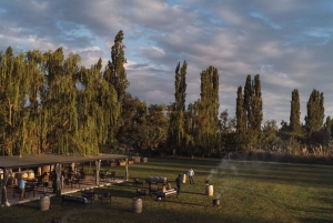 Tour de Bodegas en Lujan de Cuyo: Chandon, Bonfanti, Kuro